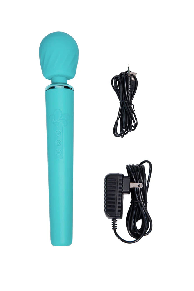 NALA blue wand vibrator with two types of chargers - one for USB and one for a wall port