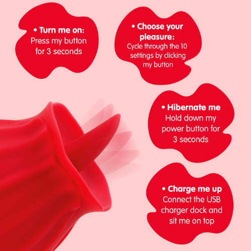 red rose toy with instructions on how to use