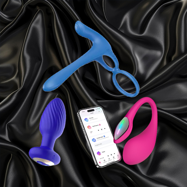Adult Toy Storage Love and Lust Adult Toy Storage Love and Lust