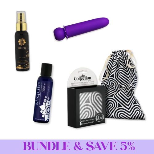 essentials bundle containing a purple vibrator, spray cleaner, lubricant, and storage bag