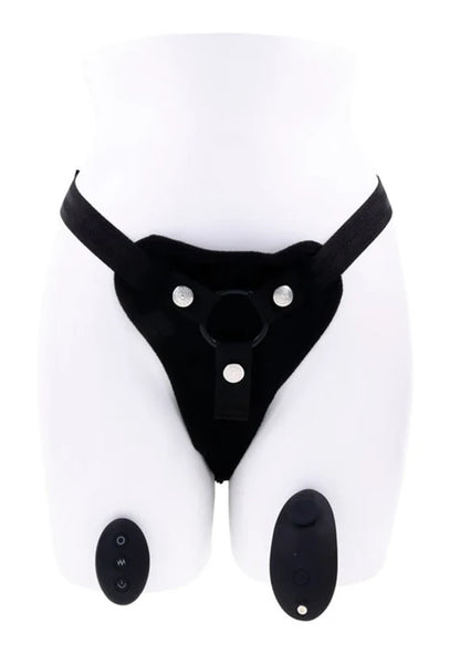 Hidden pocket harness with remote control and vibrator