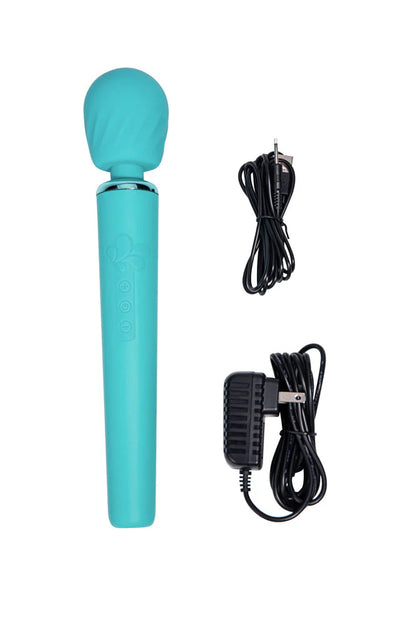 NALA blue wand vibrator with two types of chargers - one for USB and one for a wall port